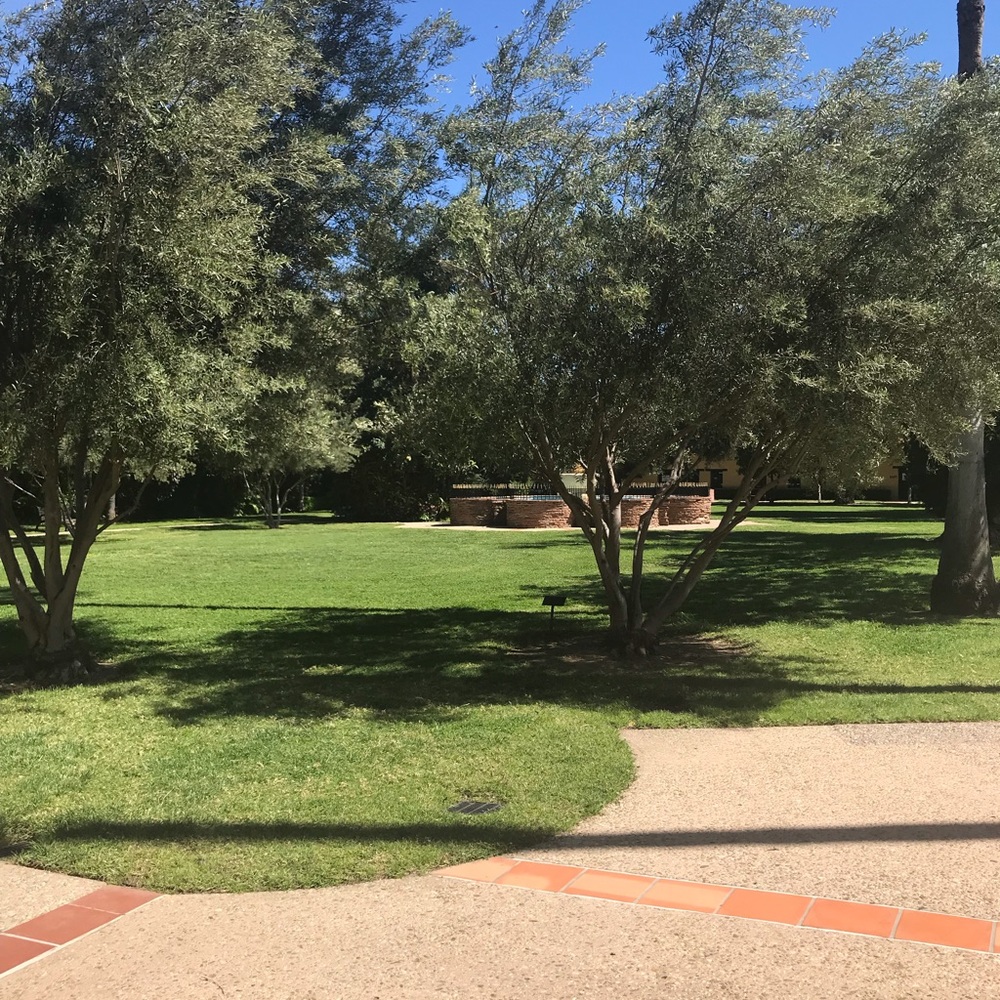 Meet your Posher, Brenda